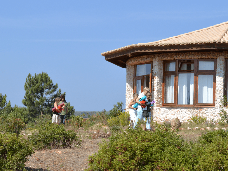 Activities, Lessons & Consultations