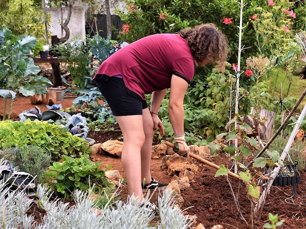 Our Permaculture Garden