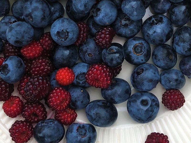 Milde Detox-Week voor Lichaam en Geest
