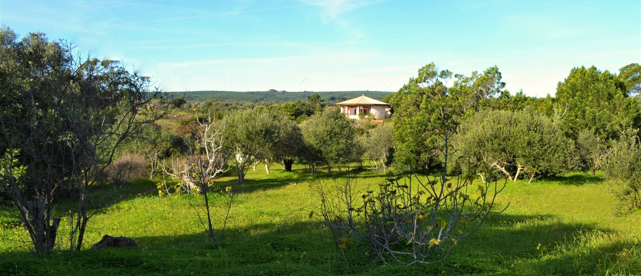 COHOUSING