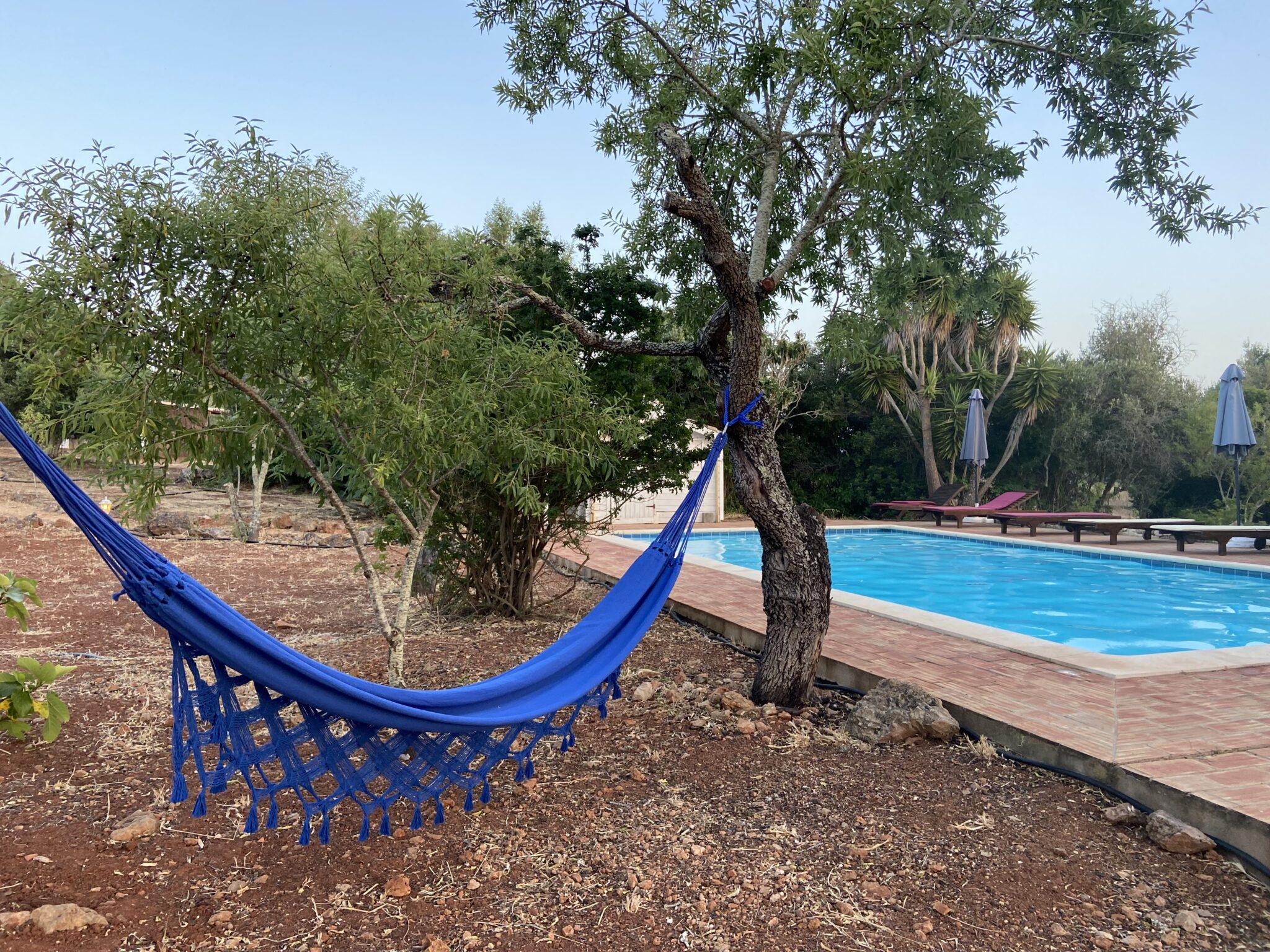 The Swimming Pool